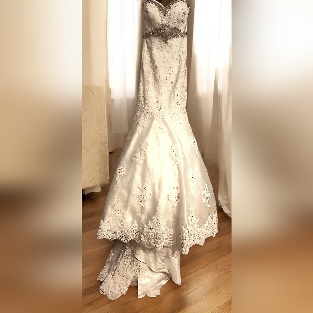 Christina Wu White and Silver Lace Gown